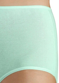 Petite Fleur Pack Of 5 High Waist Briefs -Buffalo Fashion Shop Petite Fleur Pack of 5 High Waist Briefs391323FRSP W03